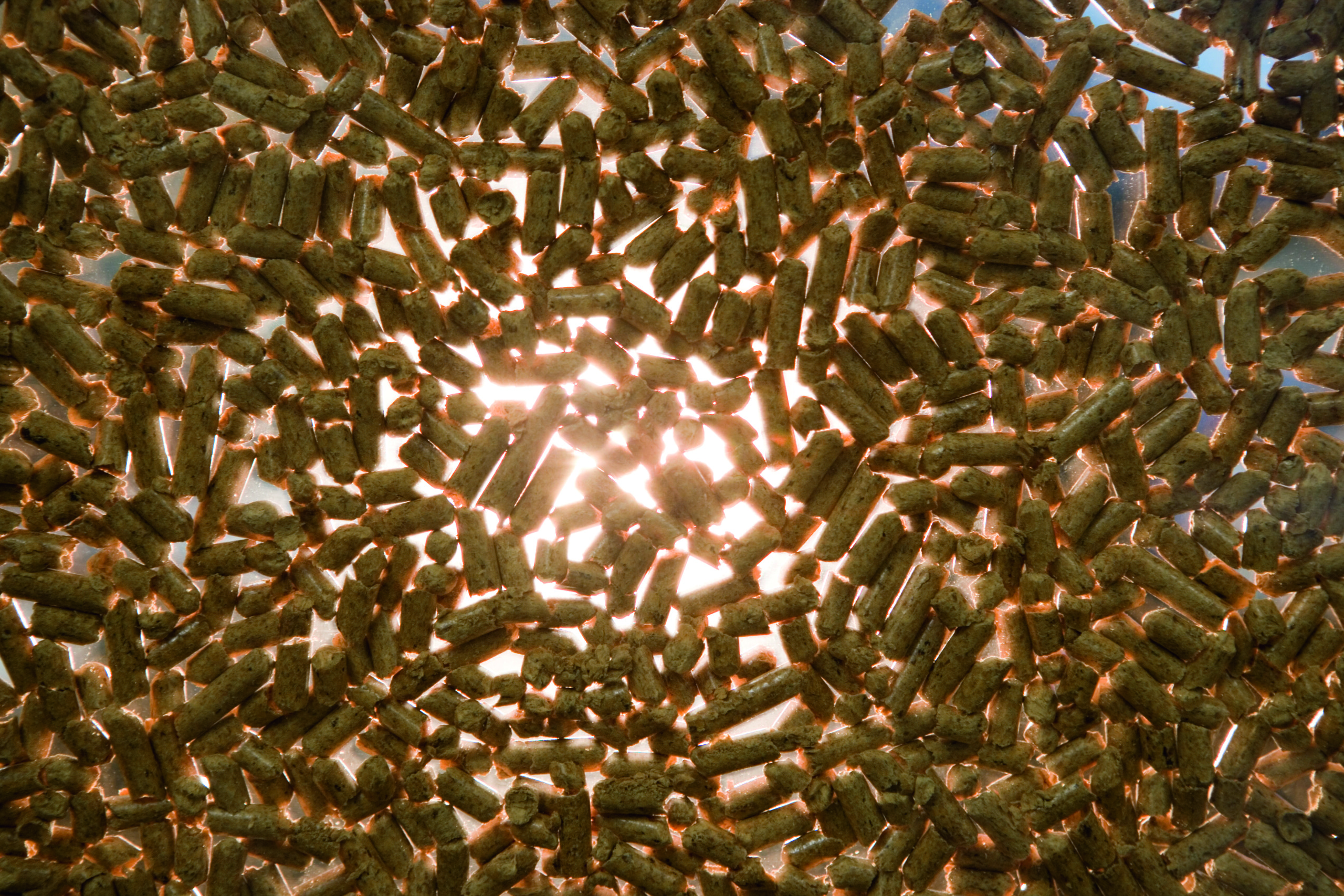 Holzpellets als fester Brennstoff mit warmem Lichteinfall